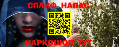 СК Донской