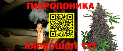 мяу мяу мука Дубна